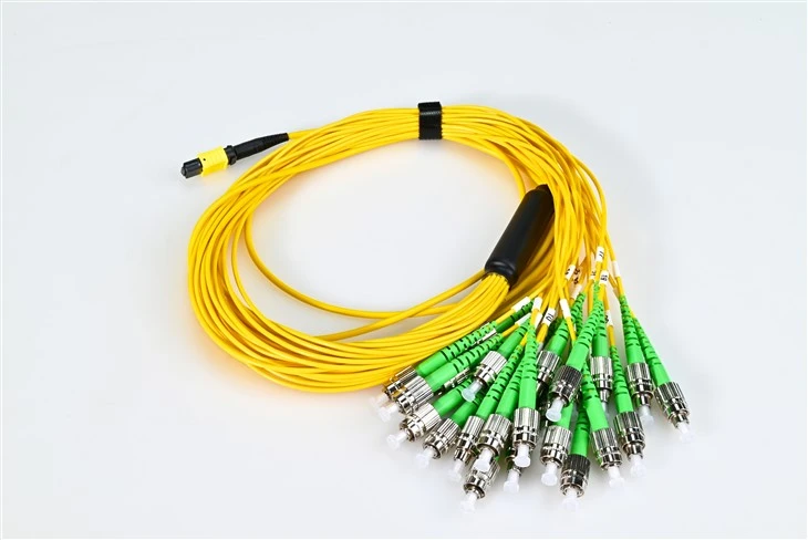 Dây nối sợi quang Mtp To Fc Apc 3.0mm Vàng 24 lõi